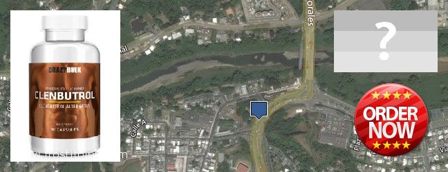 Dónde comprar Clenbuterol Steroids en linea Trujillo Alto, Puerto Rico
