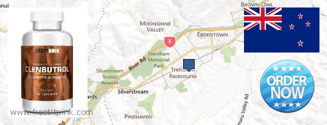 Where to Purchase Clenbuterol Steroids online Upper Hutt, New Zealand