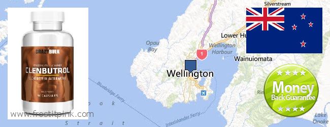 Where to Buy Clenbuterol Steroids online Wellington, New Zealand