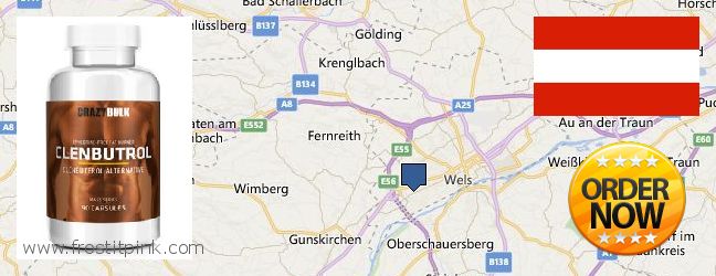 Purchase Clenbuterol Steroids online Wels, Austria Where Can I Purchase Clenbuterol Steroids online Wels, Austria