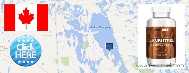 Where to Purchase Clenbuterol Steroids online Winnipeg, Canada