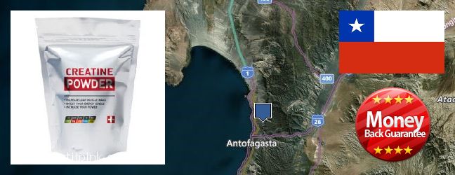 Dónde comprar Creatine Monohydrate en linea Antofagasta, Chile