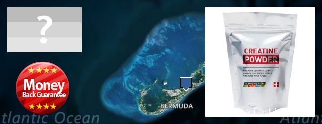 Where to Buy Creatine Monohydrate Powder online Bermuda