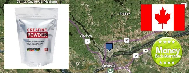 Buy Creatine Monohydrate Powder online Gatineau, Canada Best Place to Buy Creatine Monohydrate Powder online Gatineau, Canada