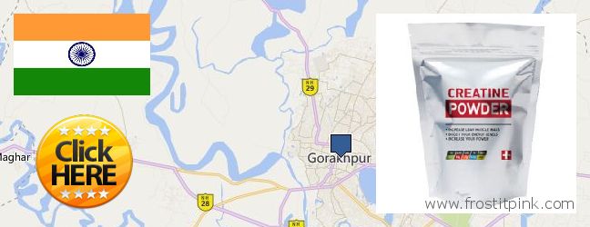 Where Can You Buy Creatine Monohydrate Powder online Gorakhpur, India