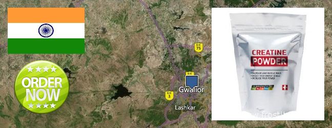 Buy Creatine Monohydrate Powder online Gwalior, India Where to Buy Creatine Monohydrate Powder online Gwalior, India