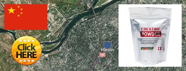 Purchase Creatine Monohydrate Powder online Harbin, China