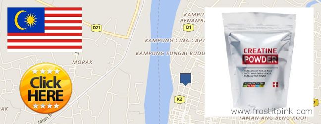 Where to Purchase Creatine Monohydrate Powder online Kota Bharu, Malaysia