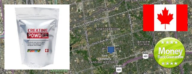 Buy Creatine Monohydrate Powder online North York, Canada Buy Creatine Monohydrate Powder online North York, Canada