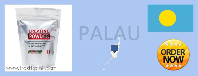 Where to Buy Creatine Monohydrate Powder online Palau