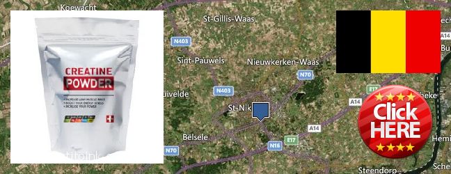 Where Can I Purchase Creatine Monohydrate Powder online Sint-Niklaas, Belgium