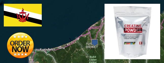 Where Can I Buy Creatine Monohydrate Powder online Tutong, Brunei