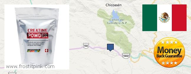 Where to Buy Creatine Monohydrate Powder online Tuxtla Gutierrez, Mexico