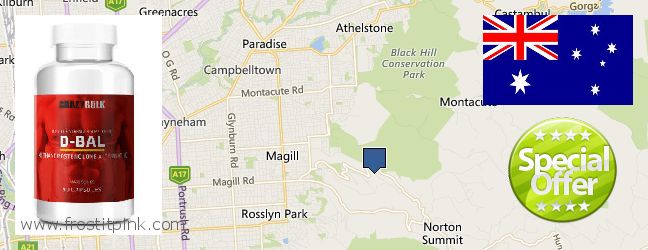 Buy Dianabol Steroids online Adelaide Hills, Australia Purchase Dianabol Steroids online Adelaide Hills, Australia