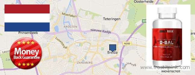 Where Can You Buy Dianabol Steroids online Breda, Netherlands