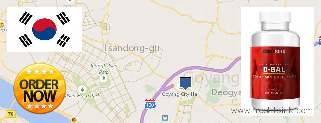 Where Can I Purchase Dianabol Steroids online Goyang-si, South Korea