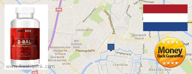 Where to Buy Dianabol Steroids online Leiden, Netherlands