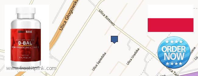 Where to Buy Dianabol Steroids online Poznań, Poland