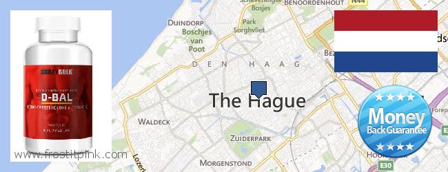 Where to Buy Dianabol Steroids online The Hague, Netherlands