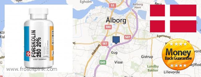 Wo kaufen Forskolin online Aalborg, Denmark