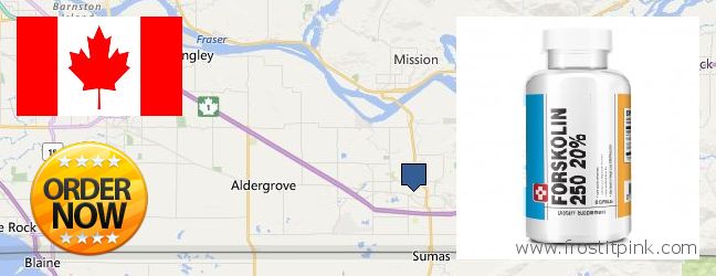 Acheter Forskolin en ligne Abbotsford, Canada Où Acheter Forskolin en ligne Abbotsford, Canada