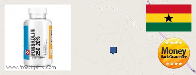 Buy Forskolin Extract online Achiaman, Ghana Where to Buy Forskolin Extract online Achiaman, Ghana