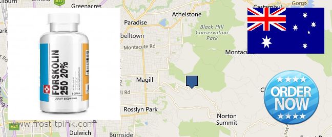 Buy Forskolin Extract online Adelaide Hills, Australia