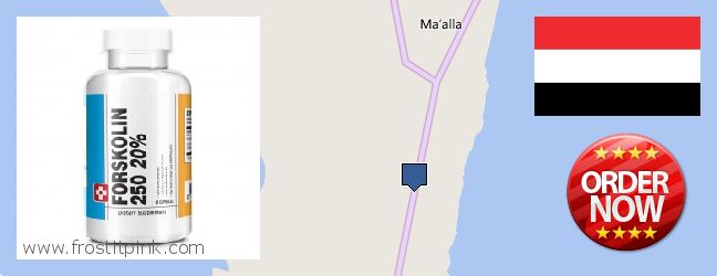 Purchase Forskolin Extract online Aden, Yemen Where to Buy Forskolin Extract online Aden, Yemen