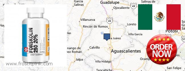 Comprar Forskolin en linea Aguascalientes, Mexico Dónde comprar Forskolin en linea Aguascalientes, Mexico