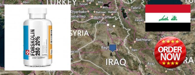 Where to Buy Forskolin Extract online Al Basrah al Qadimah, Iraq