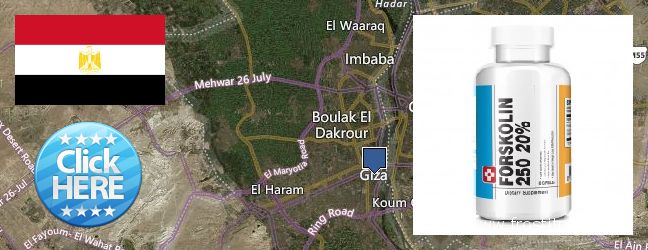 Best Place to Buy Forskolin Extract online Al Jizah, Egypt