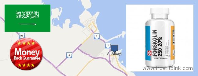 Purchase Forskolin Extract online Al Jubayl, Saudi Arabia