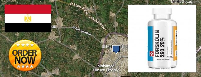 Where to Buy Forskolin Extract online Al Mahallah al Kubra, Egypt