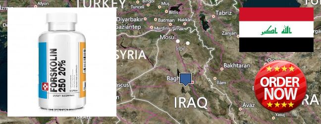 Nereden Alınır Forskolin çevrimiçi Al Mawsil al Jadidah, Iraq