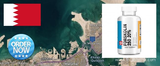 Where to Buy Forskolin Extract online Al Muharraq, Bahrain