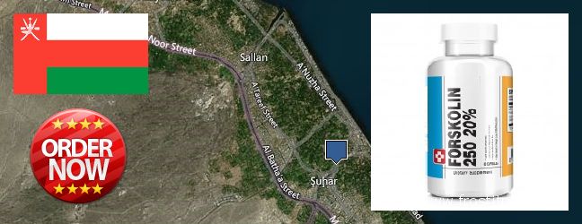 Purchase Forskolin Extract online Al Sohar, Oman Where to Purchase Forskolin Extract online Al Sohar, Oman