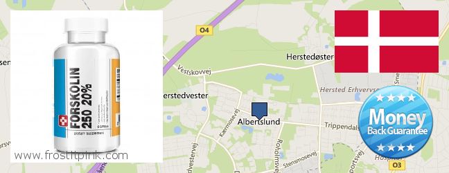 Hvor kan jeg købe Forskolin online Albertslund, Denmark