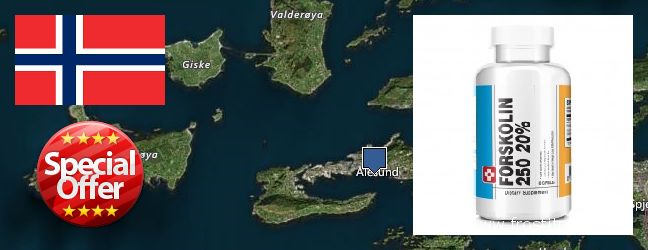 Hvor kjøpe Forskolin online Alesund, Norway