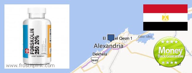 Where to Buy Forskolin Extract online Alexandria, Egypt
