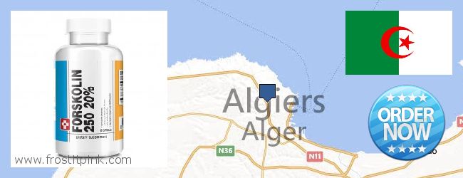 Purchase Forskolin Extract online Algiers, Algeria