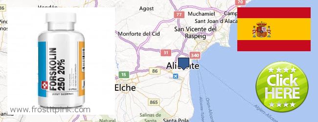 Buy Forskolin Extract online Alicante, Spain