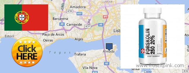 Onde Comprar Forskolin on-line Almada, Portugal