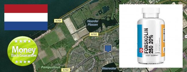 Waar te koop Forskolin online Almere Stad, Netherlands