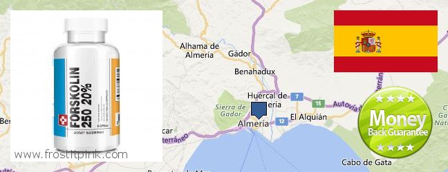 Dónde comprar Forskolin en linea Almeria, Spain