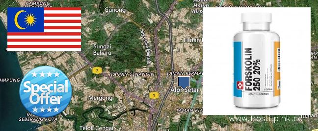 Where to Buy Forskolin Extract online Alor Setar, Malaysia