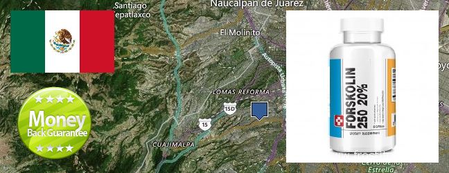 Where Can I Buy Forskolin Extract online Alvaro Obregon, Mexico