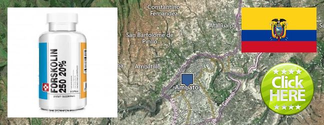 Where to Buy Forskolin Extract online Ambato, Ecuador