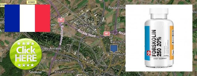 Where to Buy Forskolin Extract online Amiens, France