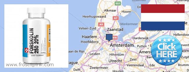 Where to Buy Forskolin Extract online Amsterdam, Netherlands