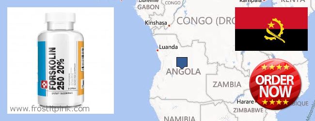 Buy Forskolin Extract online Angola